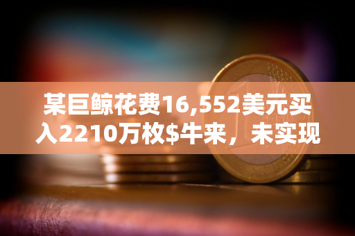 某巨鲸花费16,552美元买入2210万枚$牛来，未实现利润约64.6万美元