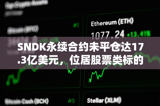 SNDK永续合约未平仓达17.3亿美元，位居股票类标的首位