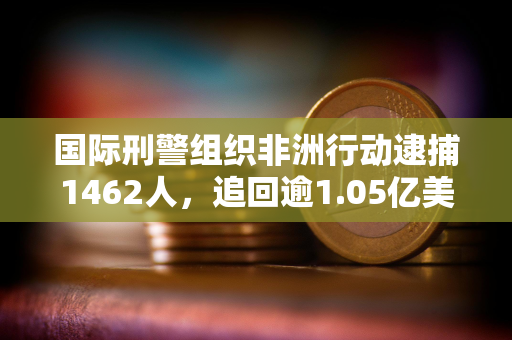 国际刑警组织非洲行动逮捕1462人，追回逾1.05亿美元
