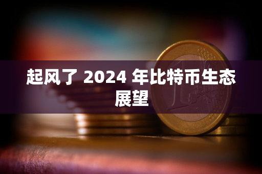 起风了 2024 年比特币生态展望