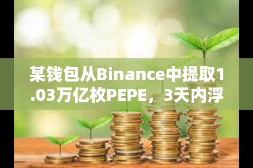 某钱包从Binance中提取1.03万亿枚PEPE，3天内浮盈134万美元