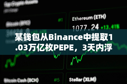 某钱包从Binance中提取1.03万亿枚PEPE，3天内浮盈134万美元