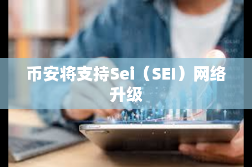 币安将支持Sei（SEI）网络升级