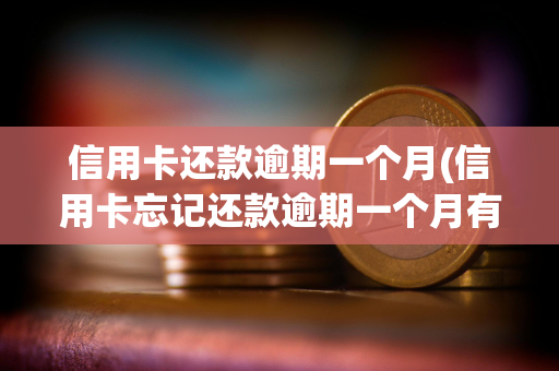 信用卡还款逾期一个月(信用卡忘记还款逾期一个月有影响吗)
