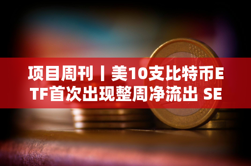项目周刊丨美10支比特币ETF首次出现整周净流出 SEC发起将以太坊归类为证券的法律运动