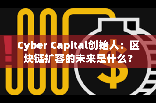 Cyber Capital创始人：区块链扩容的未来是什么？