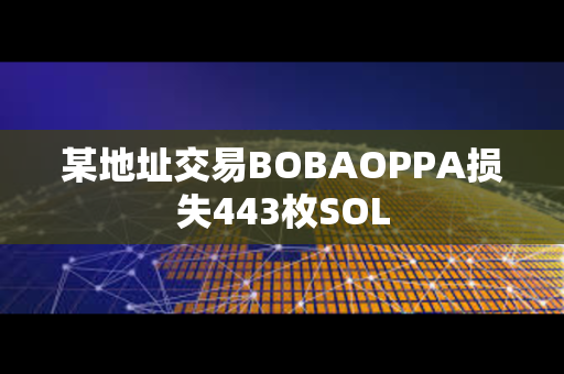 某地址交易BOBAOPPA损失443枚SOL