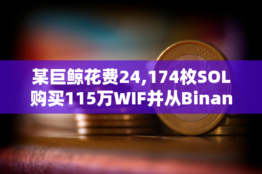 某巨鲸花费24,174枚SOL购买115万WIF并从Binance提取39,600枚WIF