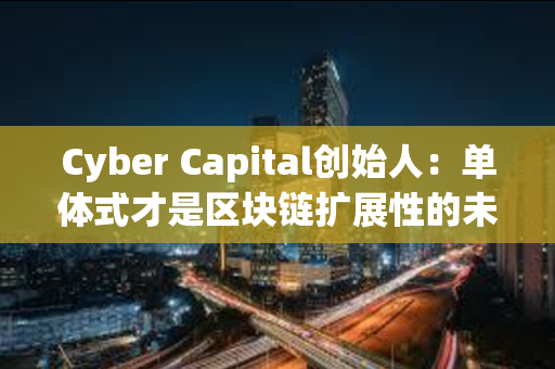 Cyber Capital创始人：单体式才是区块链扩展性的未来