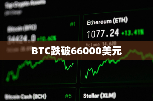 BTC跌破66000美元