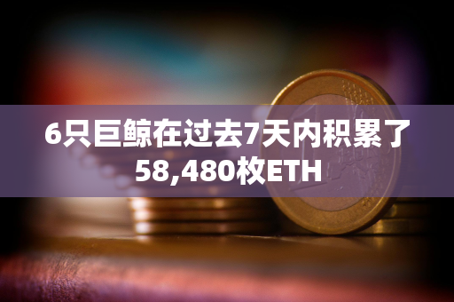 6只巨鲸在过去7天内积累了58,480枚ETH