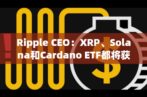 Ripple CEO：XRP、Solana和Cardano ETF都将获批通过