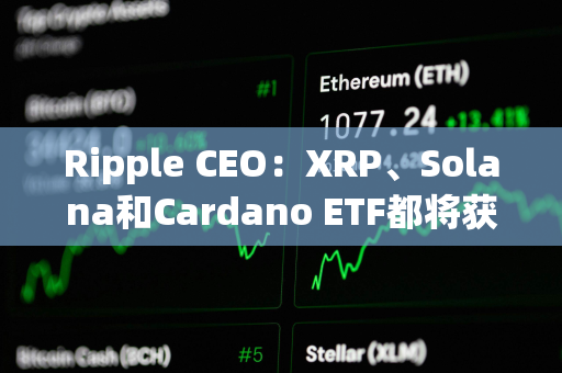 Ripple CEO：XRP、Solana和Cardano ETF都将获批通过