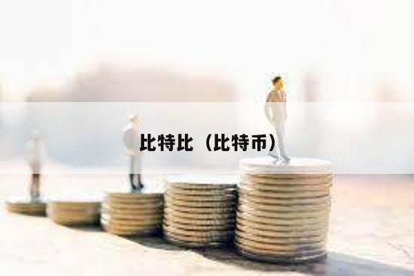 比特比（比特币）