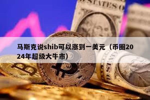 马斯克说shib可以涨到一美元（币圈2024年超级大牛市）