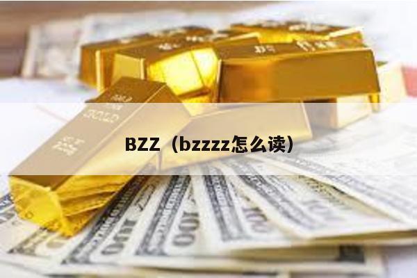 BZZ（bzzzz怎么读）