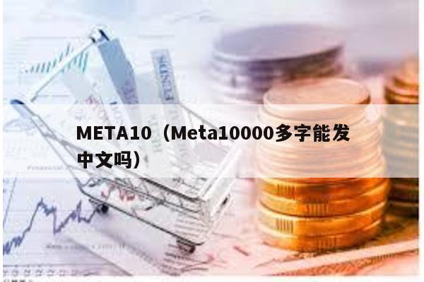 META10（Meta10000多字能发中文吗）