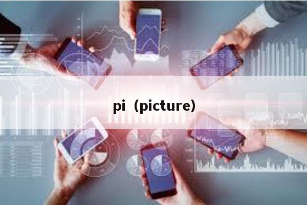 pi（picture）