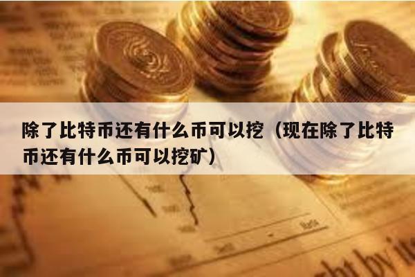 除了比特币还有什么币可以挖（现在除了比特币还有什么币可以挖矿）