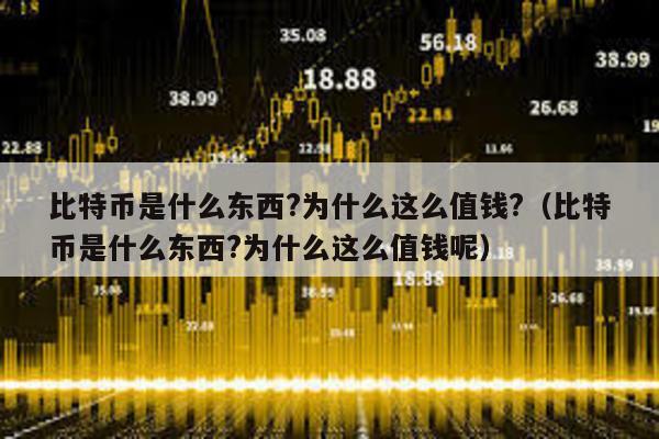 比特币是什么东西?为什么这么值钱?（比特币是什么东西?为什么这么值钱呢）