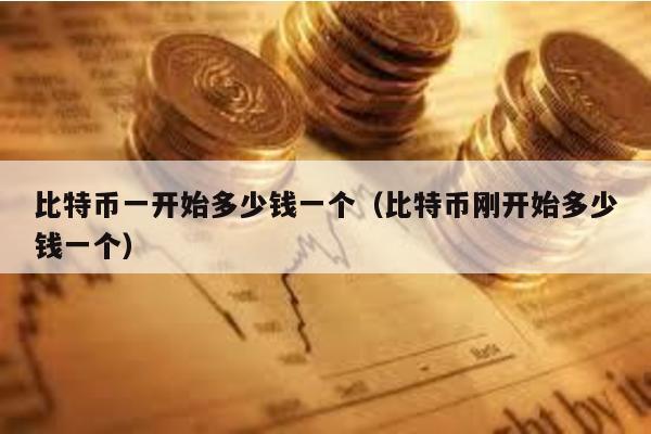 比特币一开始多少钱一个（比特币刚开始多少钱一个）