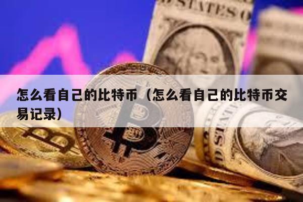 怎么看自己的比特币（怎么看自己的比特币交易记录）