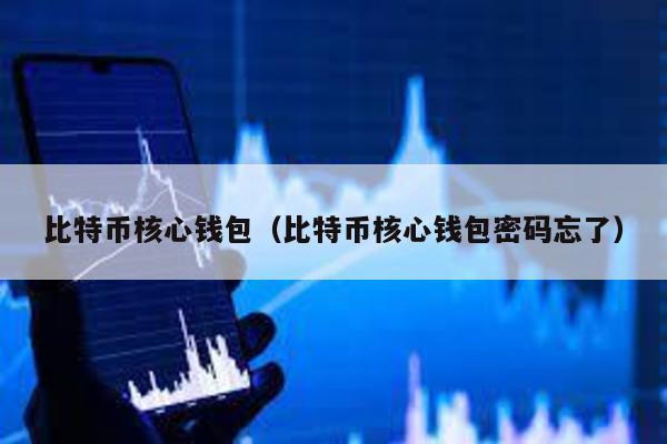 比特币核心钱包（比特币核心钱包密码忘了）