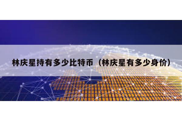 林庆星持有多少比特币（林庆星有多少身价）