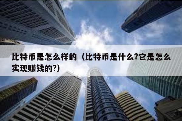 比特币是怎么样的（比特币是什么?它是怎么实现赚钱的?）