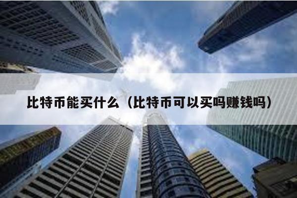 比特币能买什么（比特币可以买吗赚钱吗）