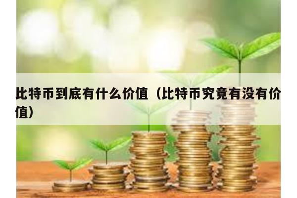 比特币到底有什么价值（比特币究竟有没有价值）