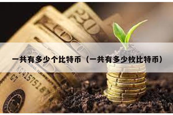 一共有多少个比特币（一共有多少枚比特币）