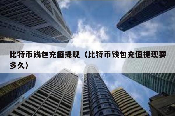 比特币钱包充值提现（比特币钱包充值提现要多久）