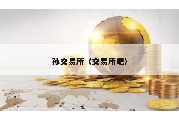 孙交易所（交易所吧）