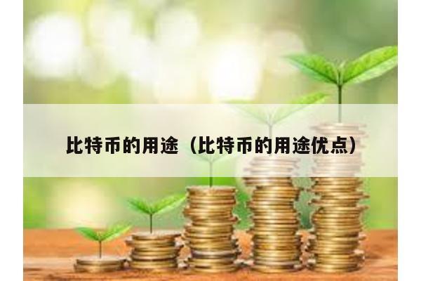 比特币的用途（比特币的用途优点）