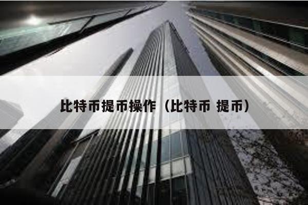 比特币提币操作（比特币 提币）