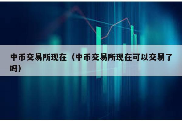 中币交易所现在（中币交易所现在可以交易了吗）