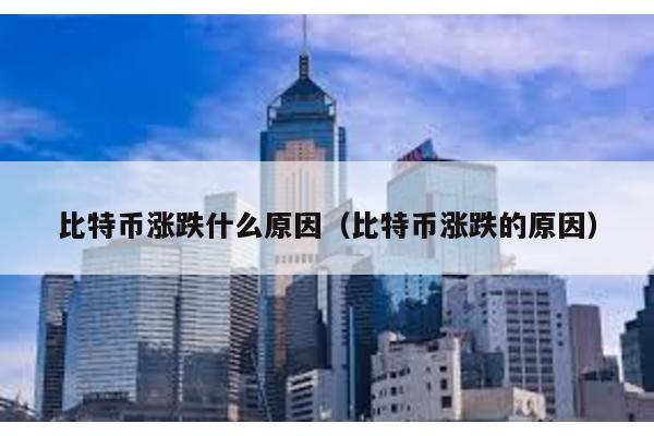 比特币涨跌什么原因（比特币涨跌的原因）