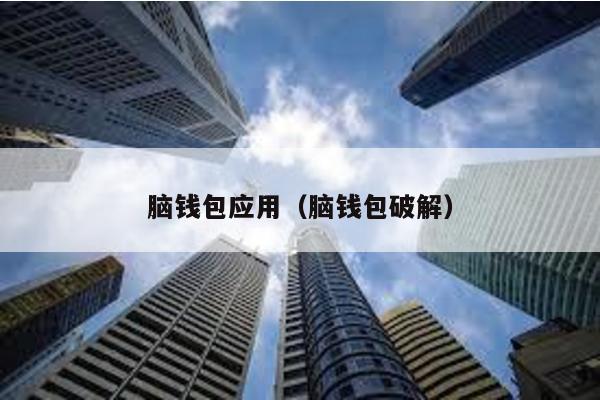 脑钱包应用（脑钱包破解）