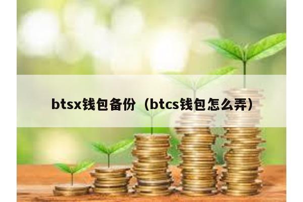 btsx钱包备份（btcs钱包怎么弄）