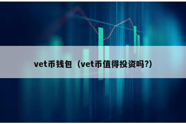 vet币钱包（vet币值得投资吗?）