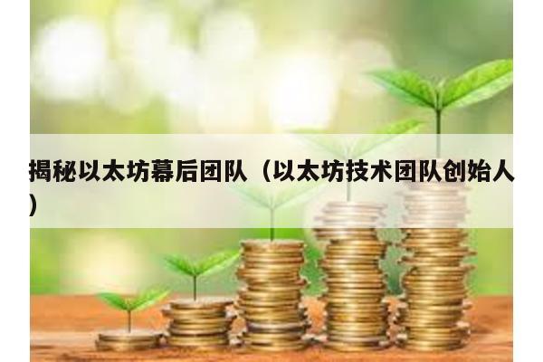 揭秘以太坊幕后团队（以太坊技术团队创始人）