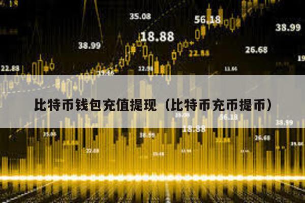 比特币钱包充值提现（比特币充币提币）