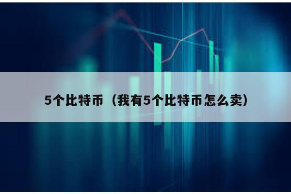 5个比特币（我有5个比特币怎么卖）