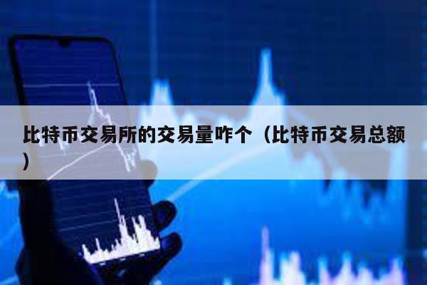比特币交易所的交易量咋个（比特币交易总额）