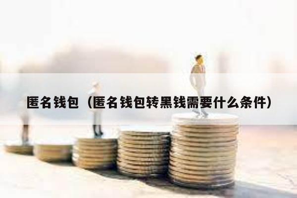 匿名钱包（匿名钱包转黑钱需要什么条件）