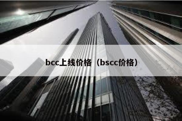 bcc上线价格（bscc价格）