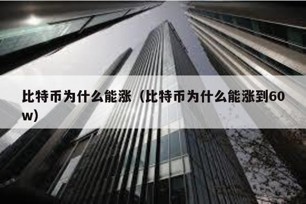 比特币为什么能涨（比特币为什么能涨到60w）