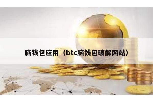 脑钱包应用（btc脑钱包破解网站）